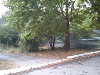 Прикрепленное изображение: 2016-08-22 07.32.21.jpg